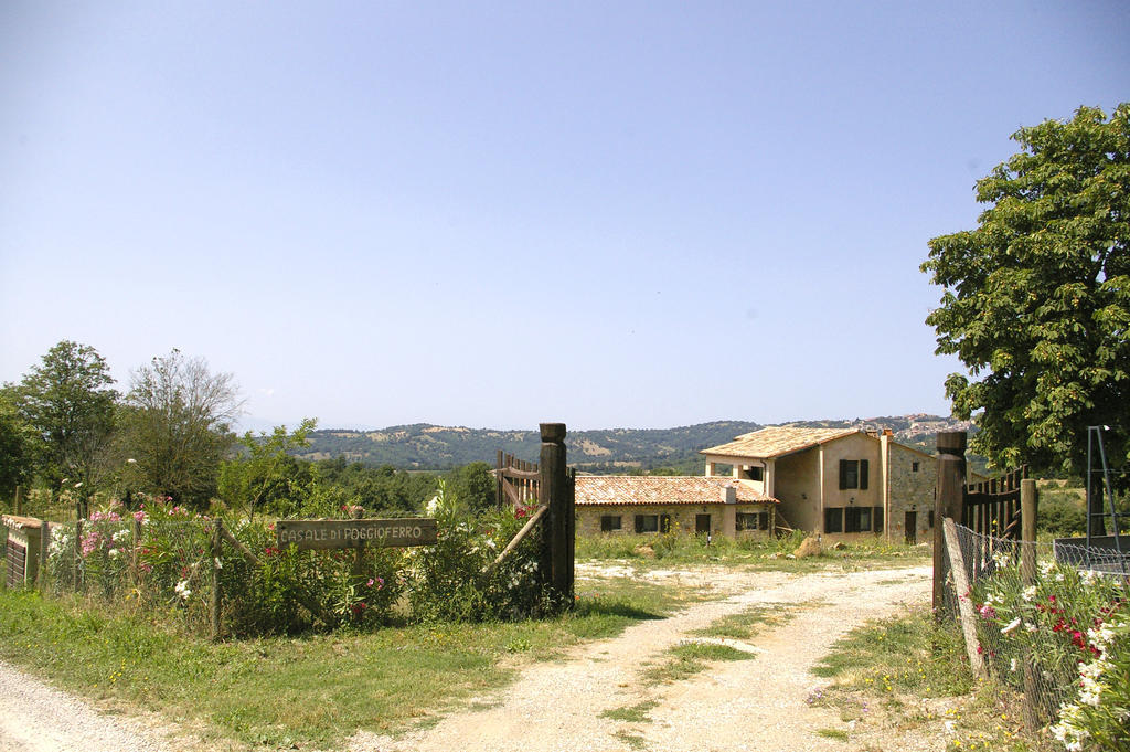 B&B Casale Di Poggioferro Scansano Eksteriør bilde